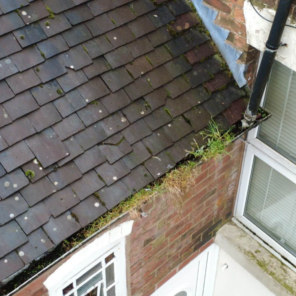 party-wall-3